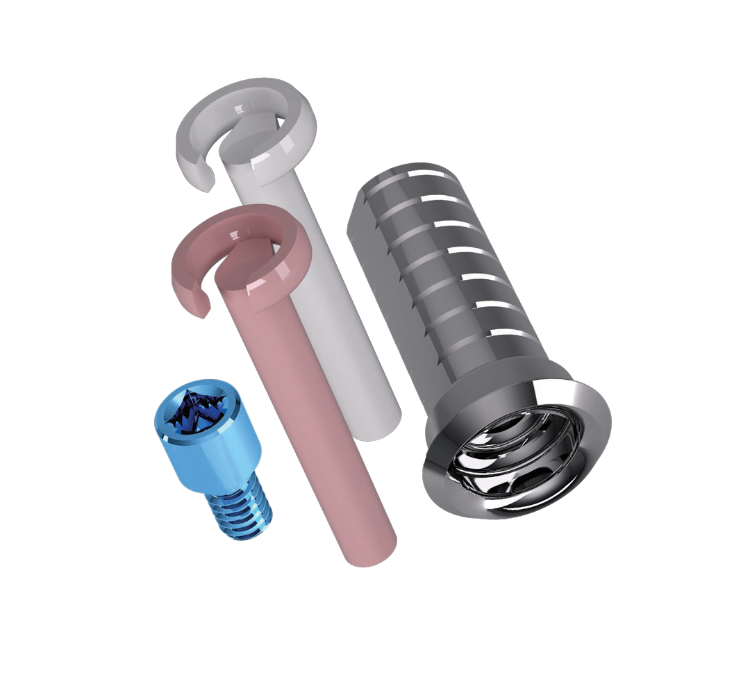 EXTRAGRADE+TORNILLO+SEEGER ø3.5